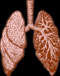 Impact du tabac sur notre sphère ORL